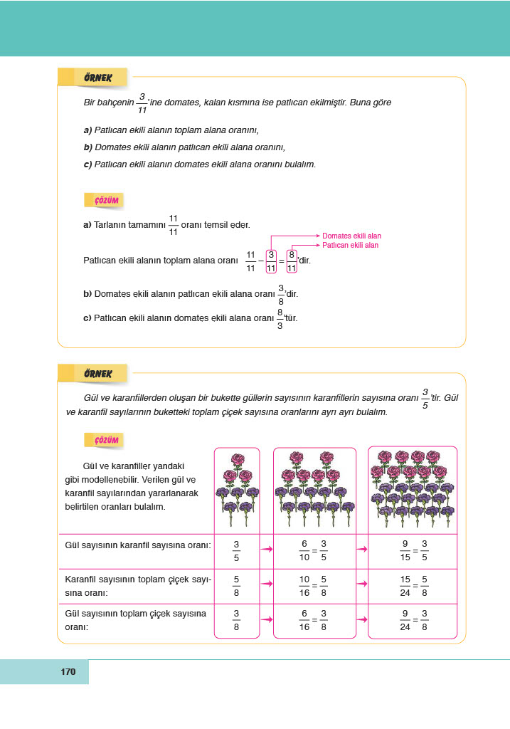 6. Sınıf Doğa Yayıncılık Matematik Ders Kitabı Sayfa 170 Cevapları 6. Sınıf Doğa Yayıncılık Matematik Ders Kitabı Sayfa 170 Cevapları