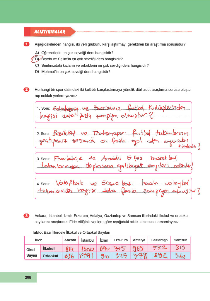 6. Sınıf Doğa Yayıncılık Matematik Ders Kitabı Sayfa 206 Cevapları