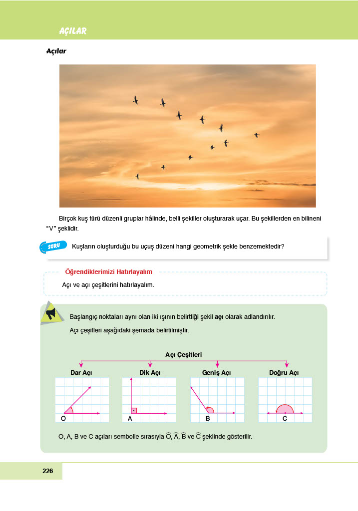 6. Sınıf Doğa Yayıncılık Matematik Ders Kitabı Sayfa 226 Cevapları