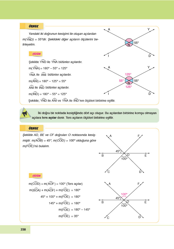 6. Sınıf Doğa Yayıncılık Matematik Ders Kitabı Sayfa 238 Cevapları