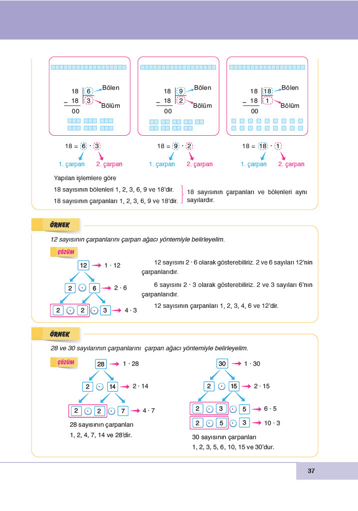 6. Sınıf Doğa Yayıncılık Matematik Ders Kitabı Sayfa 37 Cevapları