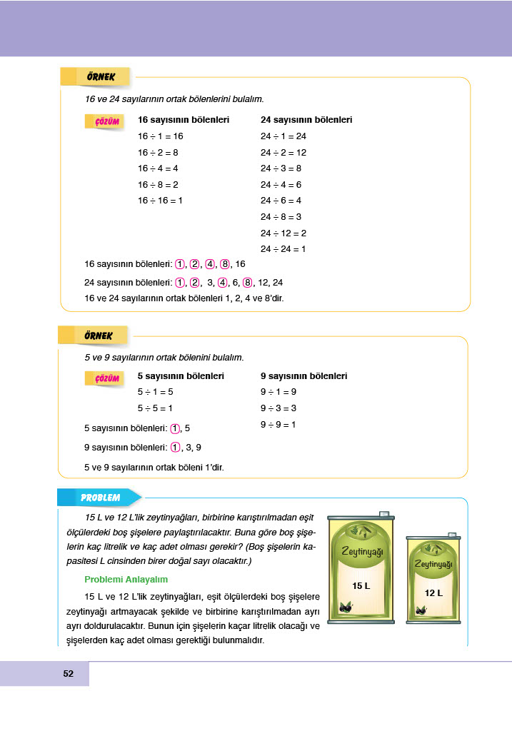 6. Sınıf Doğa Yayıncılık Matematik Ders Kitabı Sayfa 52 Cevapları