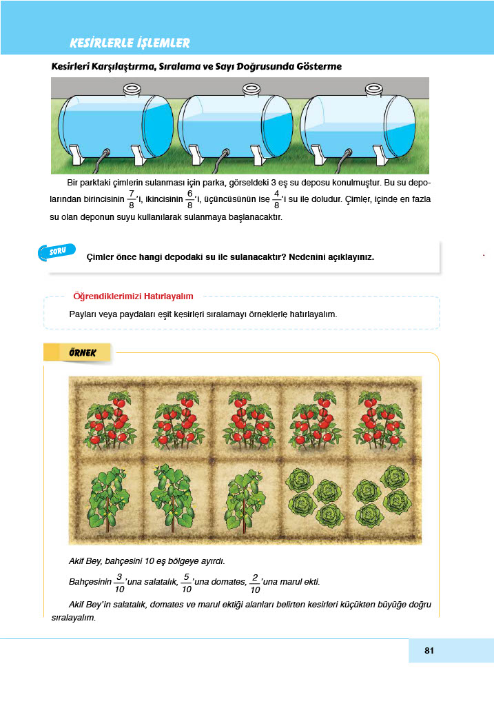 6. Sınıf Doğa Yayıncılık Matematik Ders Kitabı Sayfa 81 Cevapları
