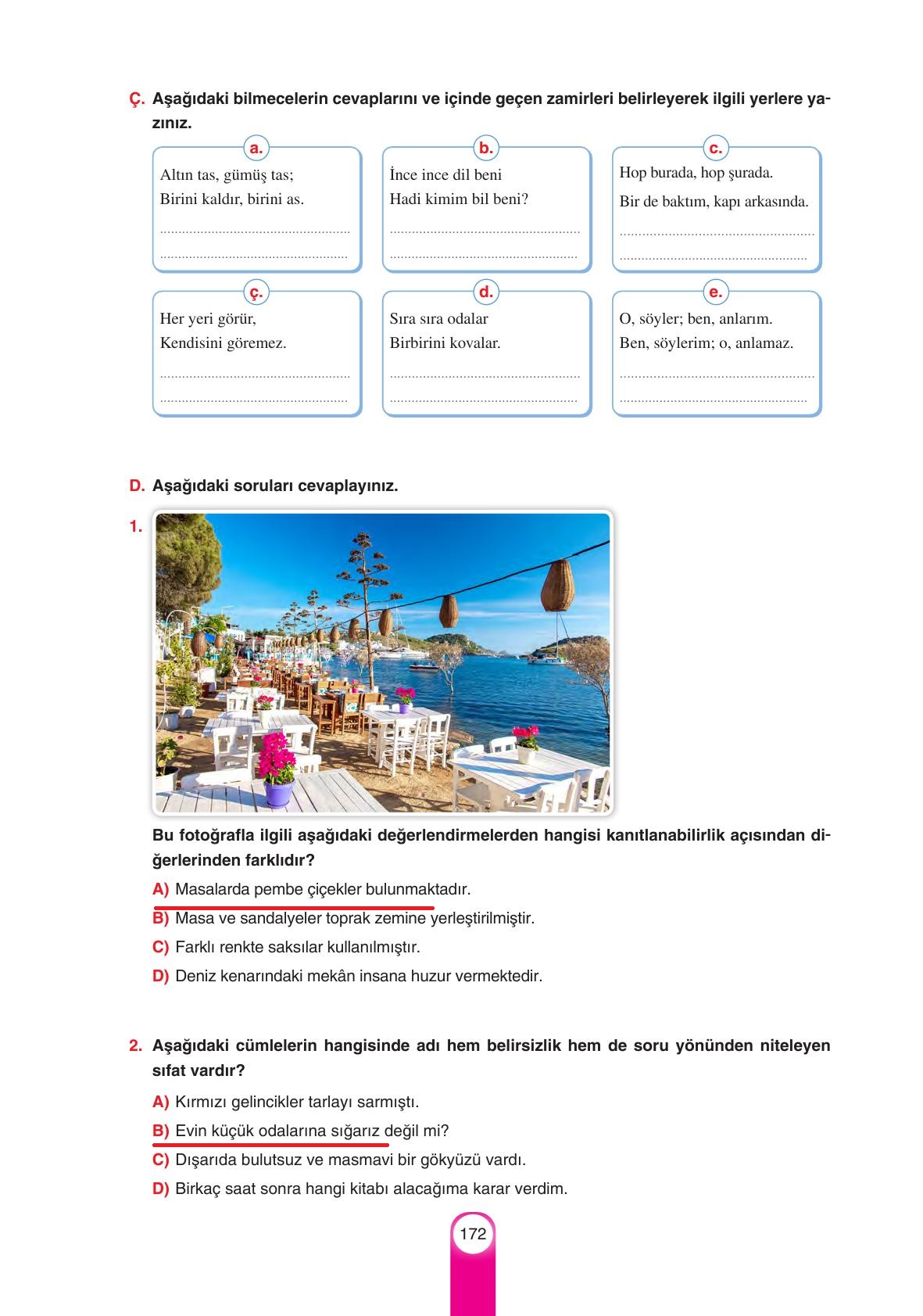 6. Sınıf Yıldırım Yayınları Türkçe Ders Kitabı Sayfa 172 Cevapları