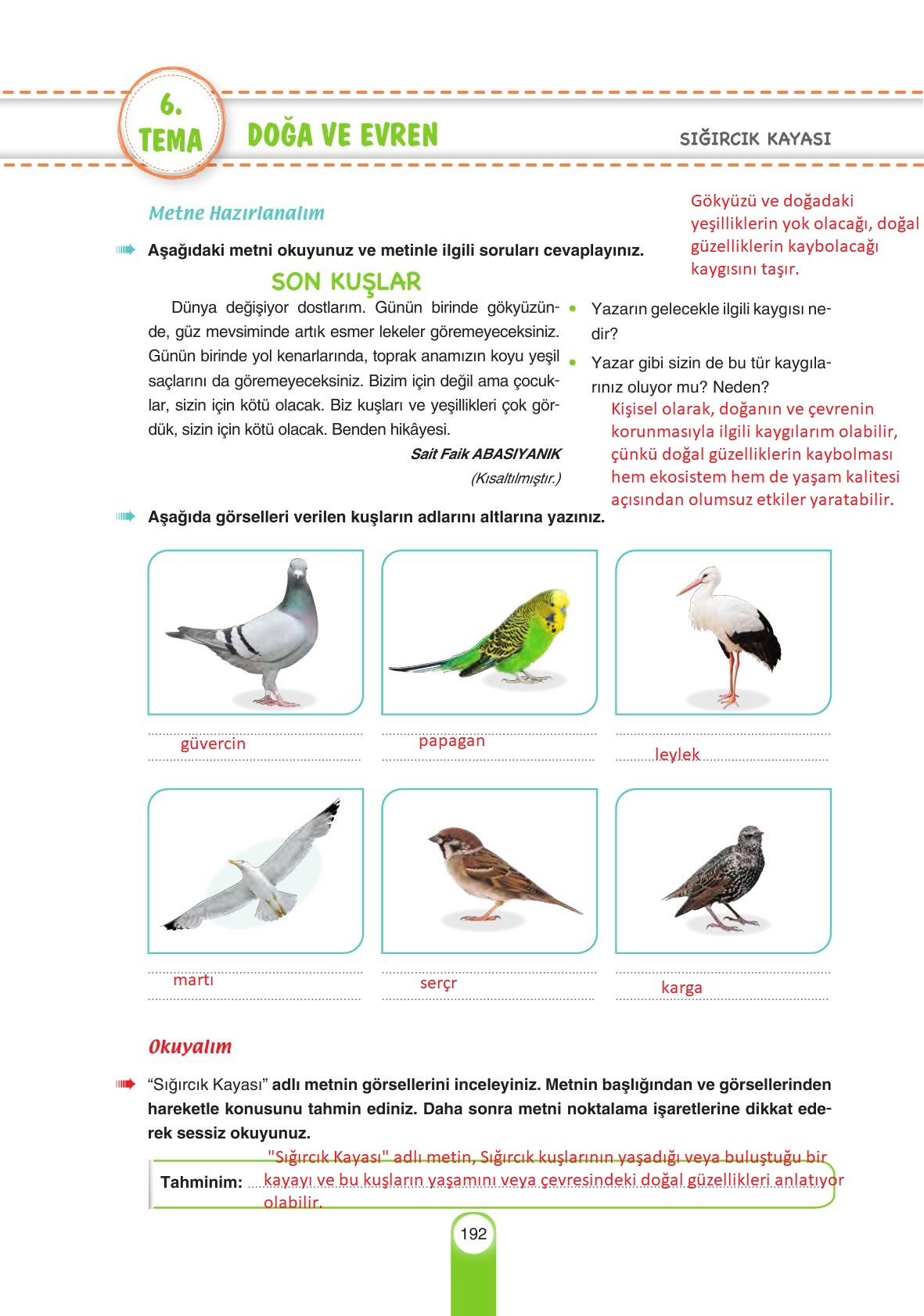 6. Sınıf Yıldırım Yayınları Türkçe Ders Kitabı Sayfa 192 Cevapları