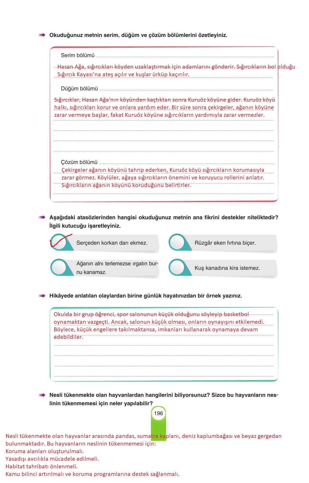 6. Sınıf Yıldırım Yayınları Türkçe Ders Kitabı Sayfa 196 Cevapları