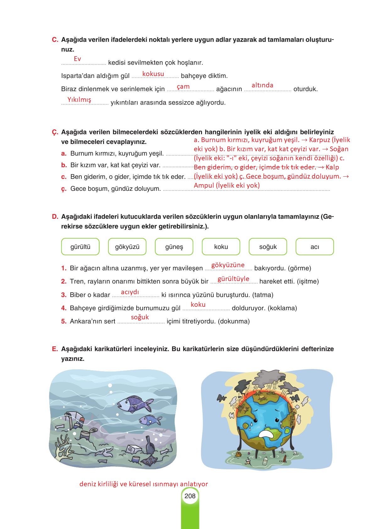 6. Sınıf Yıldırım Yayınları Türkçe Ders Kitabı Sayfa 208 Cevapları