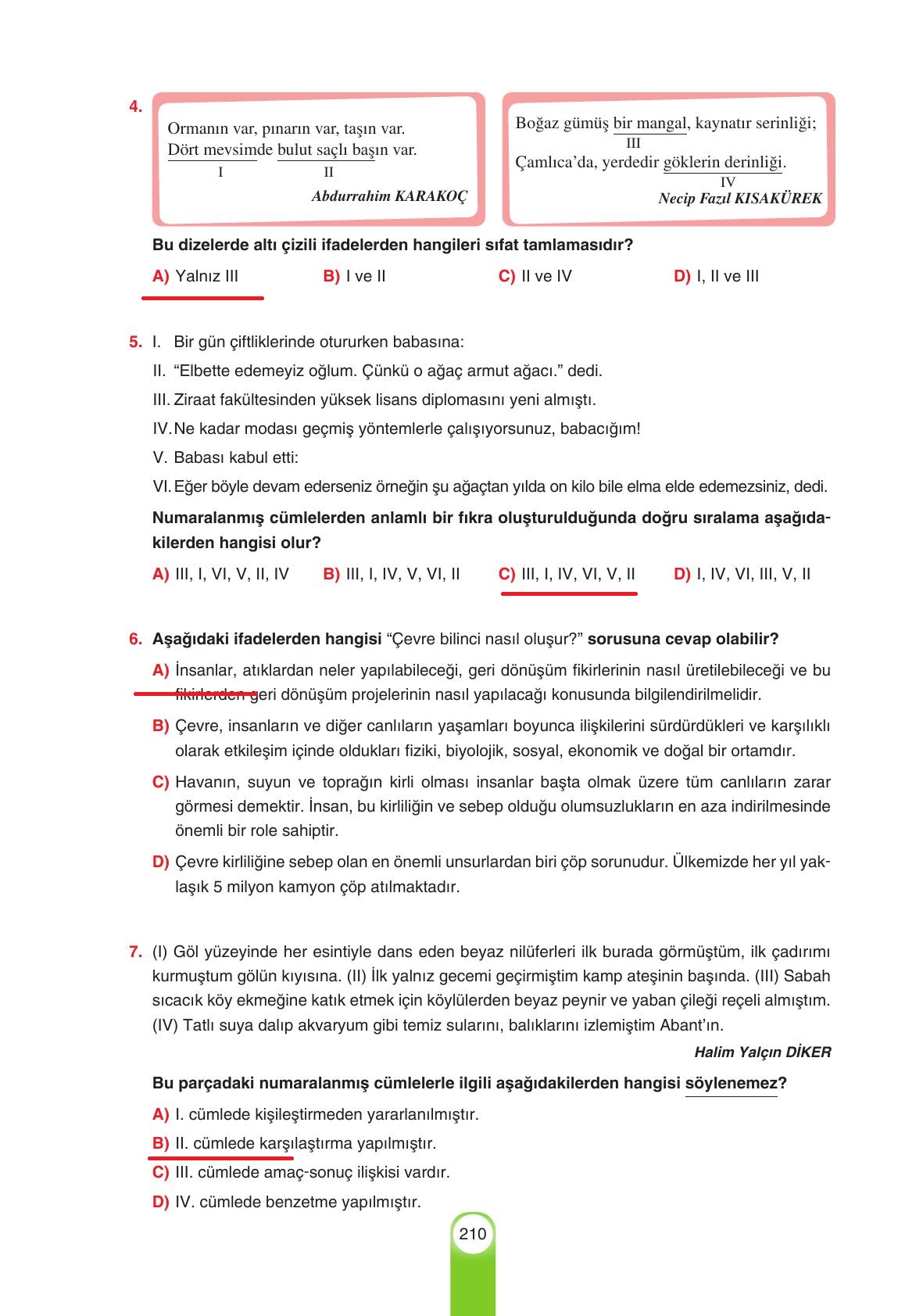 6. Sınıf Yıldırım Yayınları Türkçe Ders Kitabı Sayfa 210 Cevapları