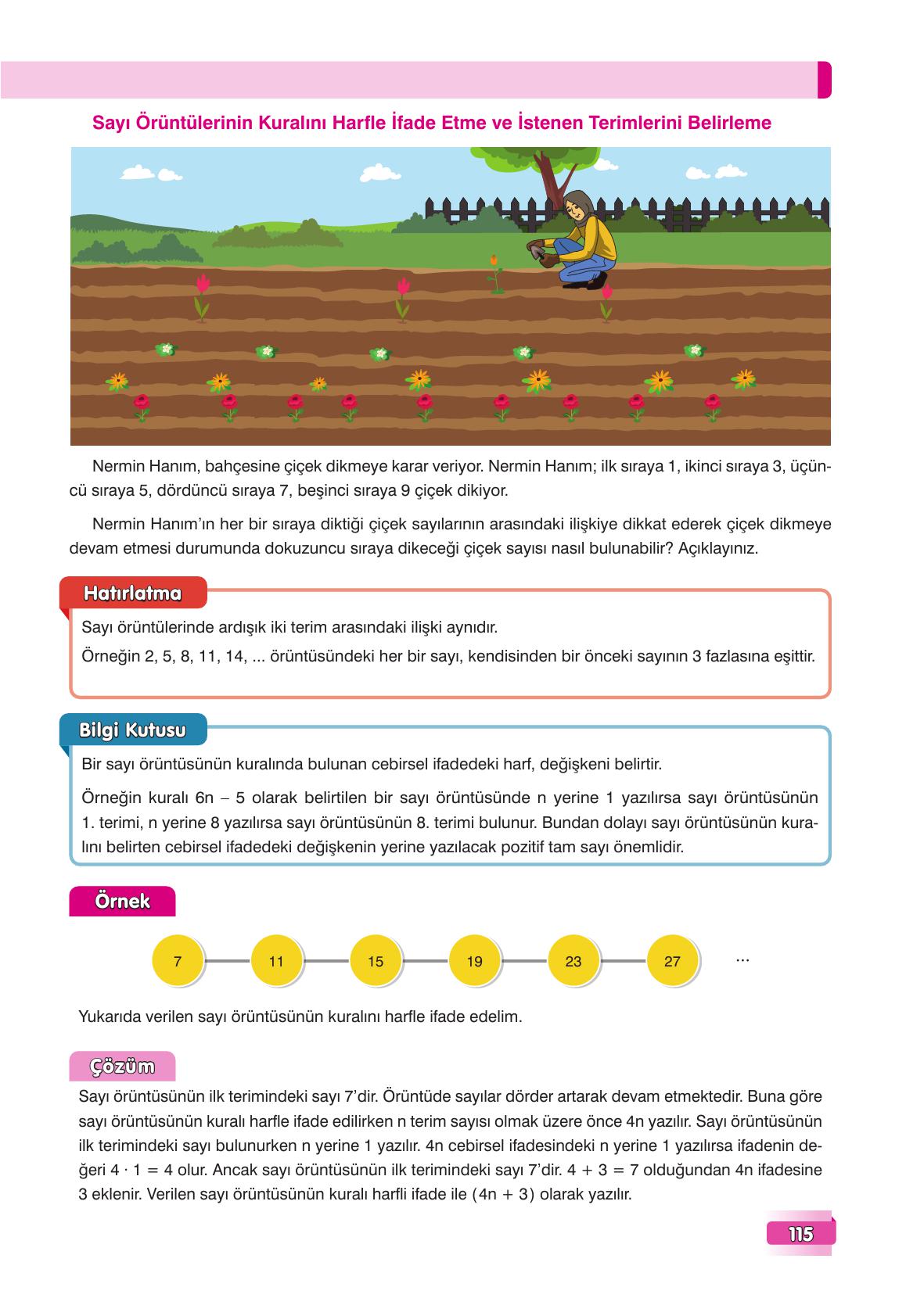 7. Sınıf Edat Yayınları Matematik Ders Kitabı Sayfa 115 Cevapları