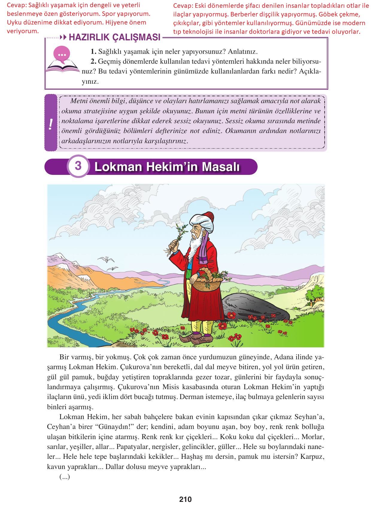 8. Sınıf Hecce Yayınları Türkçe Ders Kitabı Sayfa 210 Cevapları 8. Sınıf Hecce Yayınları Türkçe Ders Kitabı Sayfa 210 Cevapları