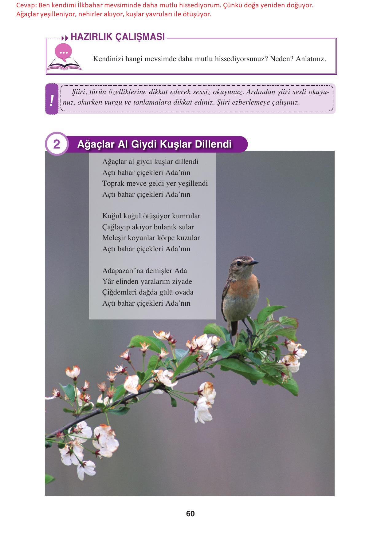 8. Sınıf Hecce Yayınları Türkçe Ders Kitabı Sayfa 60 Cevapları